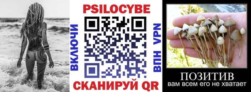 Псилоцибиновые грибы Magic Shrooms  где купить   Татарск 