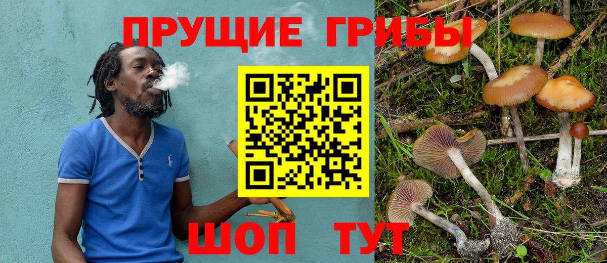 Псилоцибиновые грибы Psilocybe  Татарск 