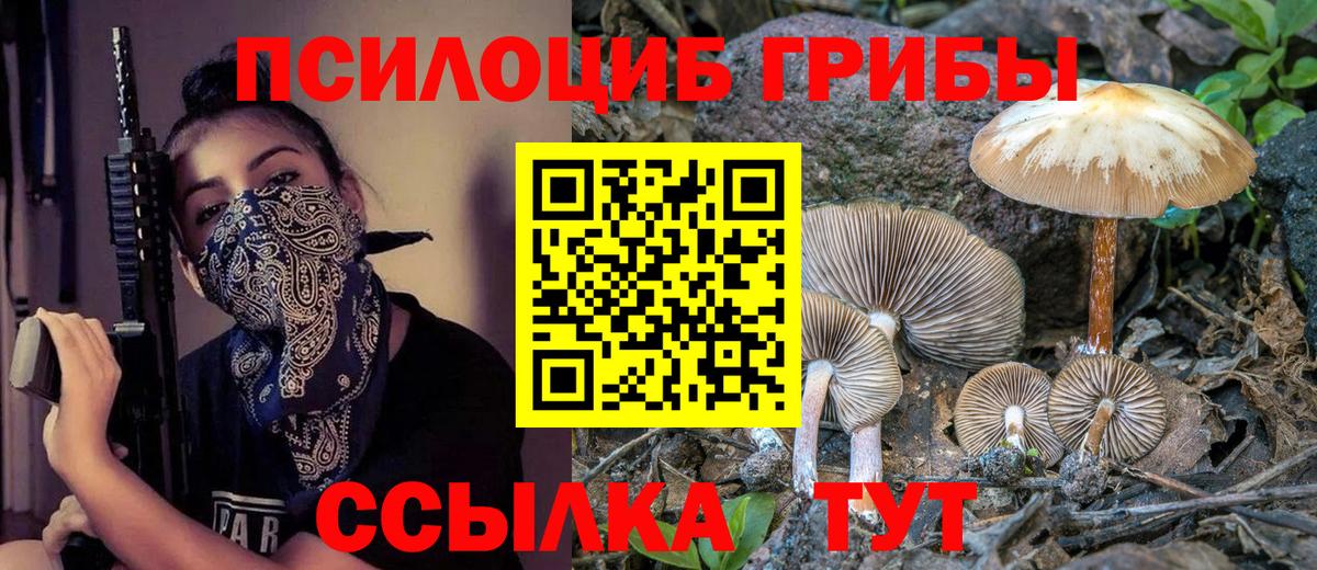Татарск  Псилоцибиновые грибы Magic Shrooms  Вход с VPN  Псилоцибиновые грибы прущие грибы 